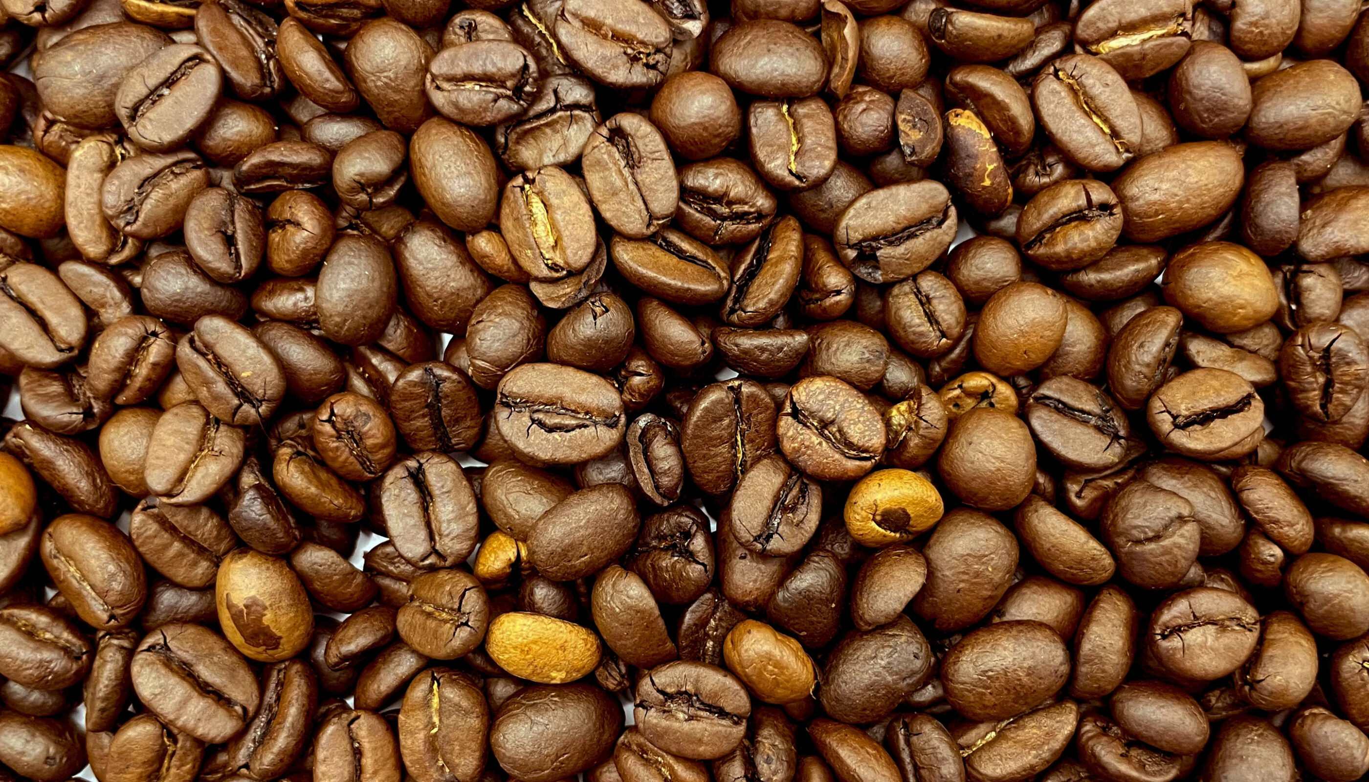 closeup of roasted coffee beans