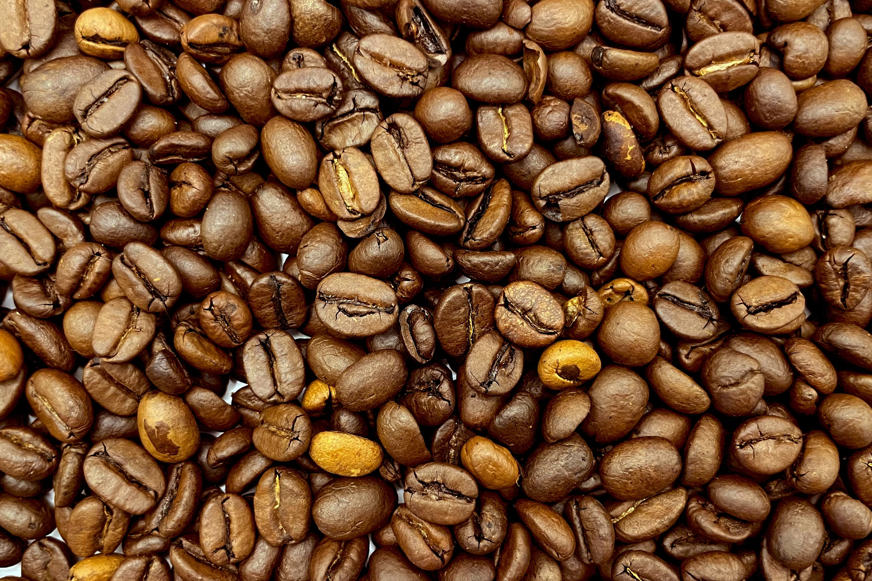 closeup of roasted coffee beans