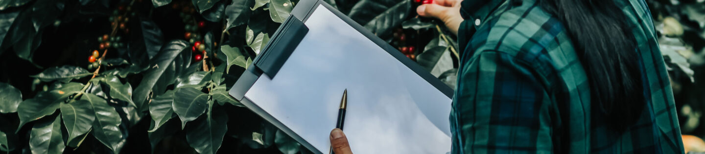 woman holding clipboard examining coffee cherries growing on tree